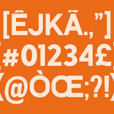 grave-sans-serif-display-font-brandearth-studio-3.png