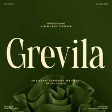 grevila-condensed-serif-font-unknown-creator-1.png