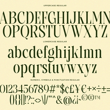 grevila-condensed-serif-font-unknown-creator-9.png