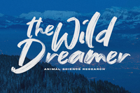 Greylight Brush Font