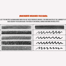 Guiseppe Camerata Procreate Kit