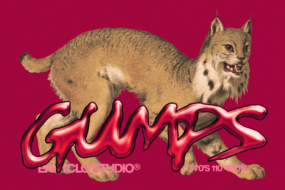 gumps-over-raw-imperfect-font-enxyclo-studio-3.png