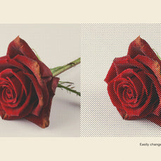 Halftone Factory (6 Effects)