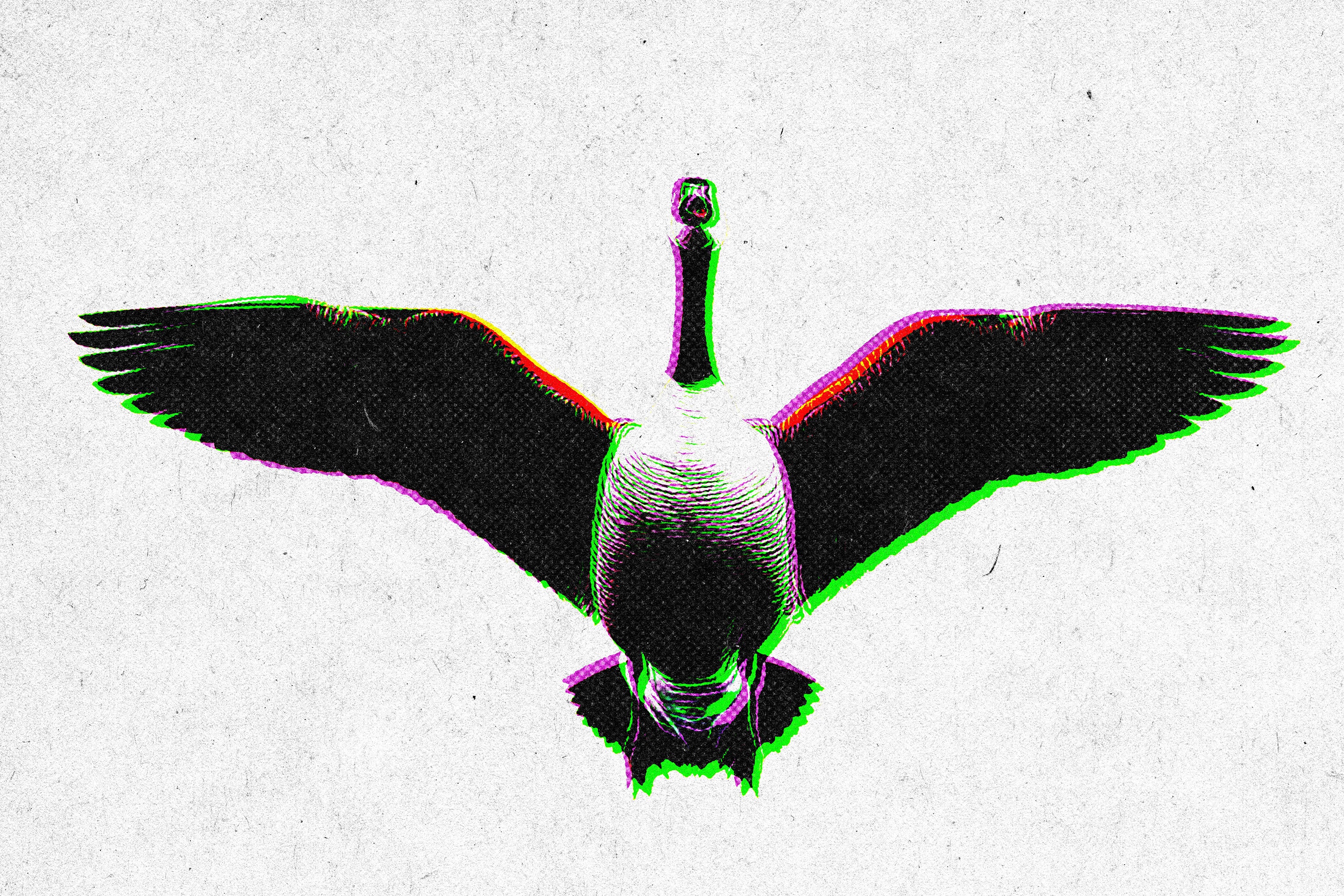 Halftone Print Effect