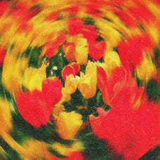 Halftone Spinning Blur Photo Effect