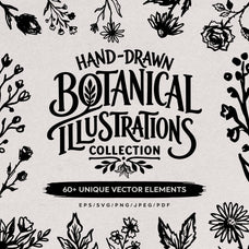 hand-drawn-botanical-illustrations-60-unique-vector-elements-designimento-1.jpg