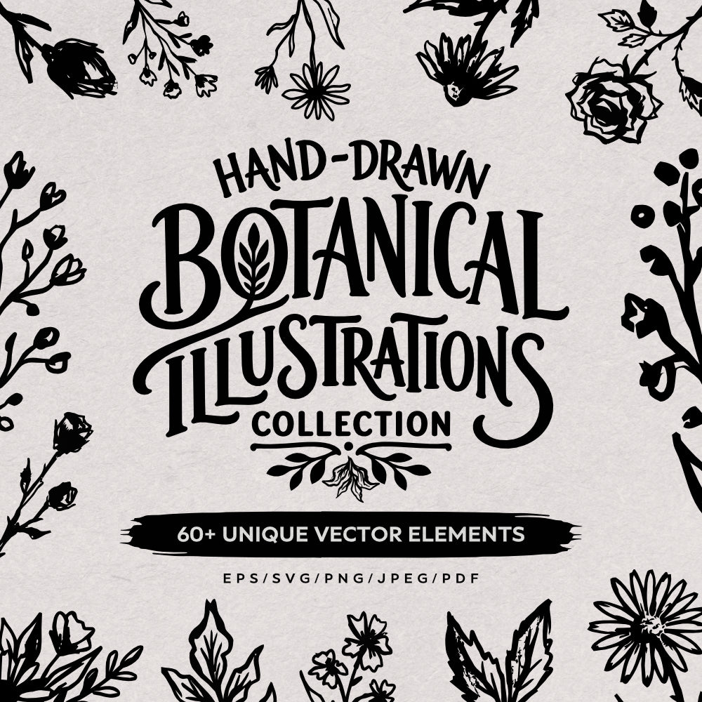 hand-drawn-botanical-illustrations-60-unique-vector-elements-designimento-1.jpg