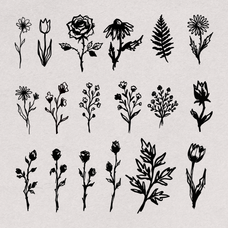 hand-drawn-botanical-illustrations-60-unique-vector-elements-designimento-2.png