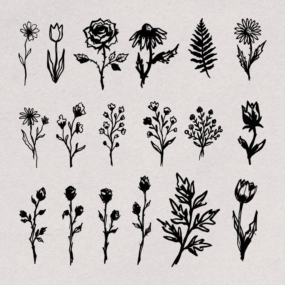 hand-drawn-botanical-illustrations-60-unique-vector-elements-designimento-2.png