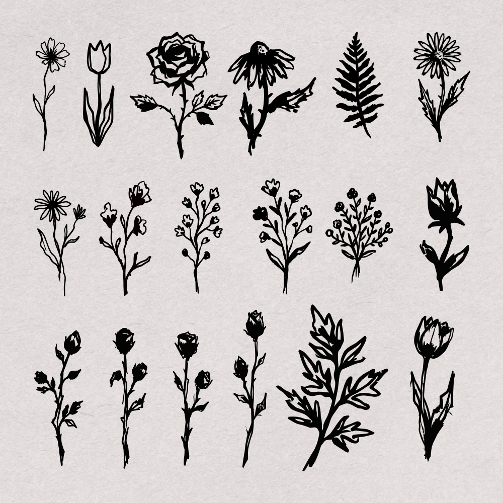 hand-drawn-botanical-illustrations-60-unique-vector-elements-designimento-2.png