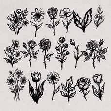 hand-drawn-botanical-illustrations-60-unique-vector-elements-designimento-3.png