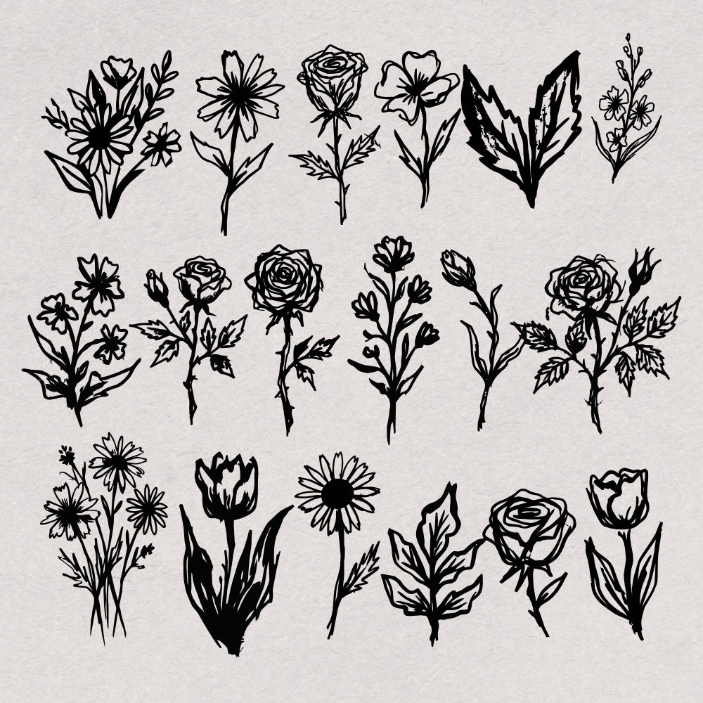 hand-drawn-botanical-illustrations-60-unique-vector-elements-designimento-3.png