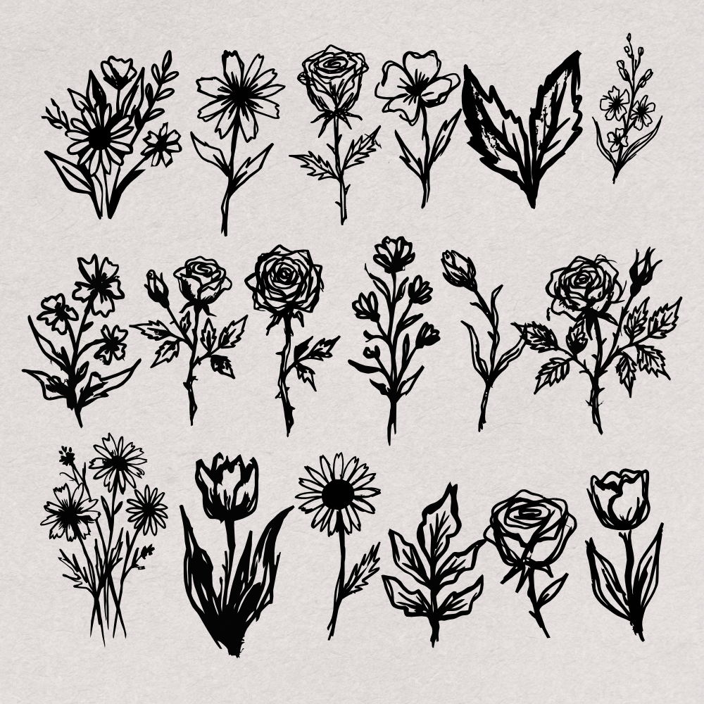 hand-drawn-botanical-illustrations-60-unique-vector-elements-designimento-3.png