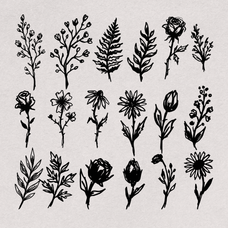 hand-drawn-botanical-illustrations-60-unique-vector-elements-designimento-4.png