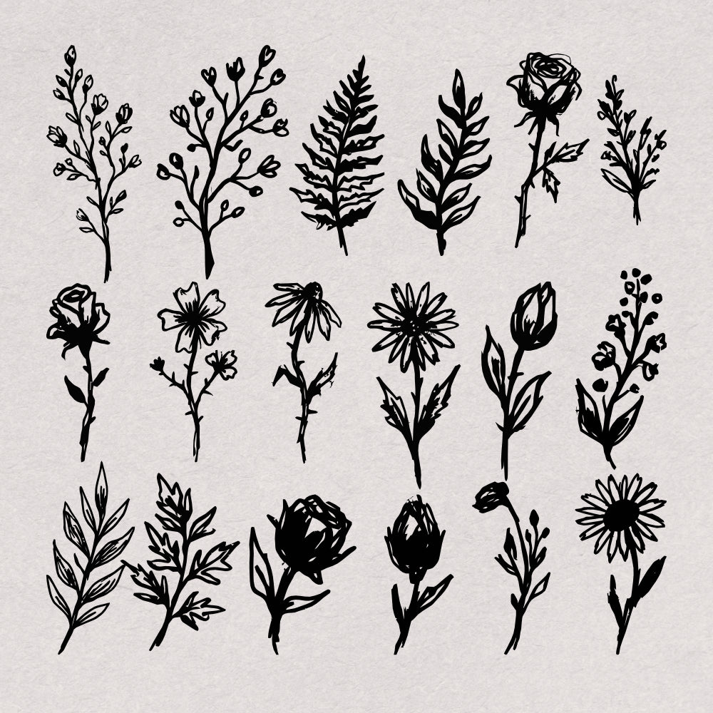 hand-drawn-botanical-illustrations-60-unique-vector-elements-designimento-4.png