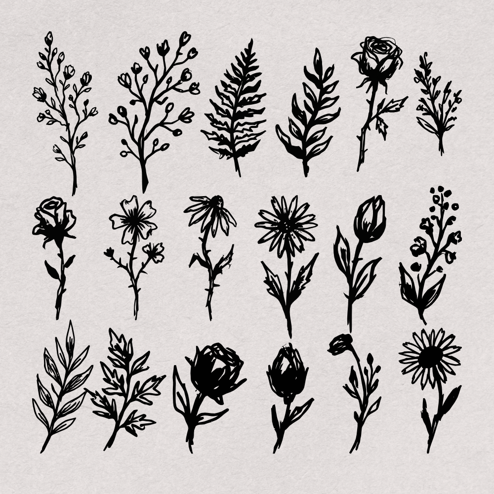 hand-drawn-botanical-illustrations-60-unique-vector-elements-designimento-4.png