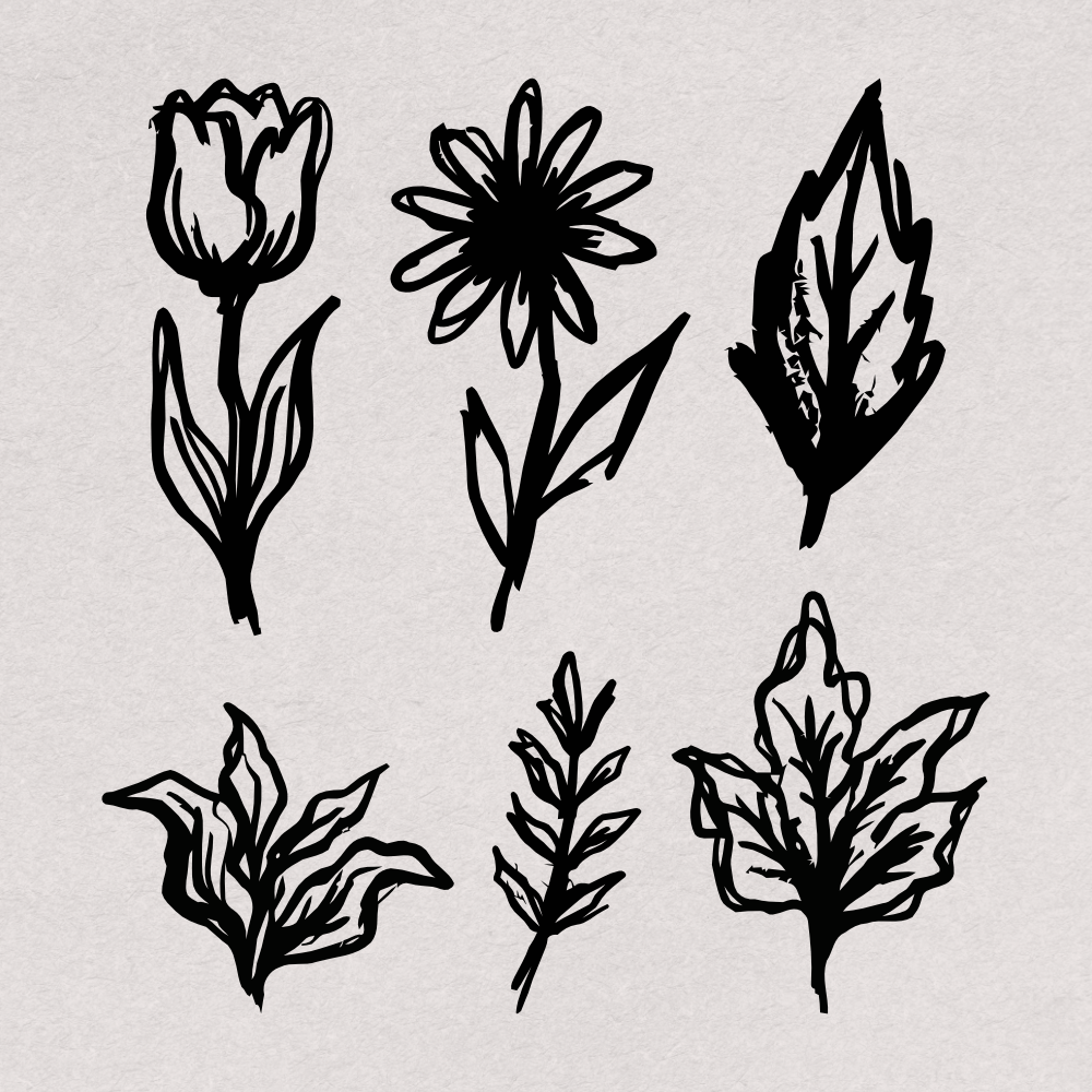 hand-drawn-botanical-illustrations-60-unique-vector-elements-designimento-5.png