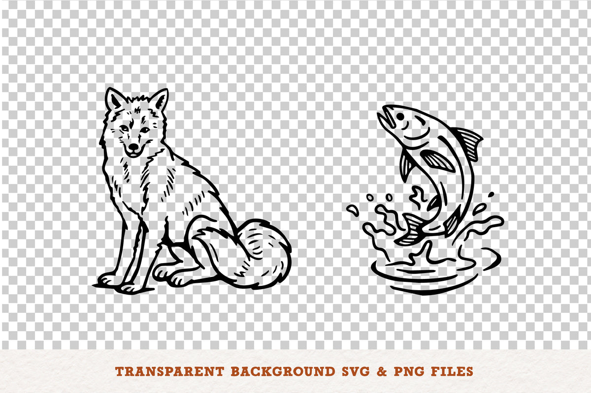hand-drawn-outdoor-illustrations-cd-designco-5.jpg