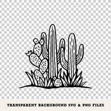 hand-drawn-western-illustrations-cd-designco-4.jpg