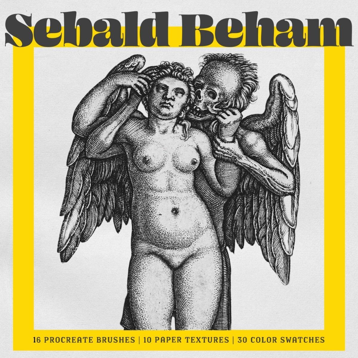 Hans Sebald Beham Procreate Kit