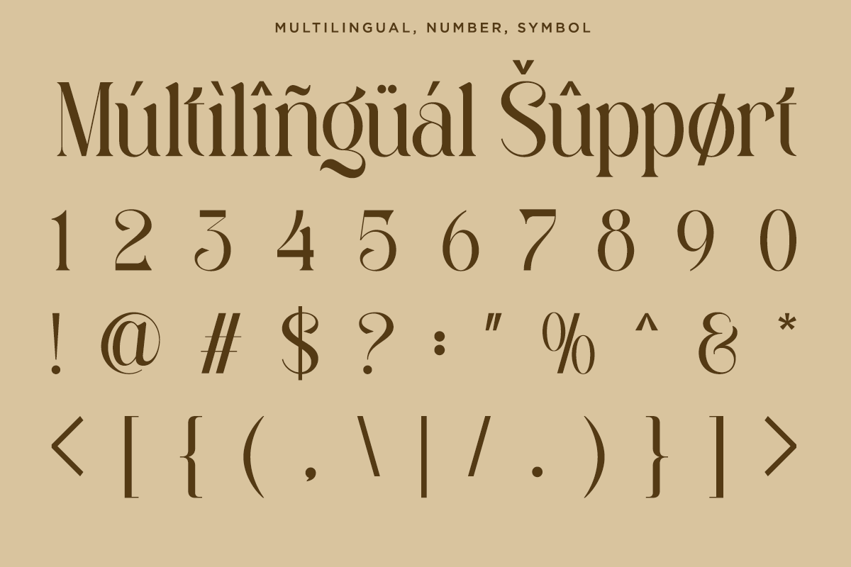 harmony-dream-luxury-decorative-serif-font-say-studio-11.png