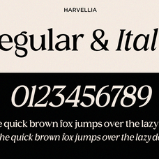 harvellia-luxury-magazine-serif-font-say-studio-7.png