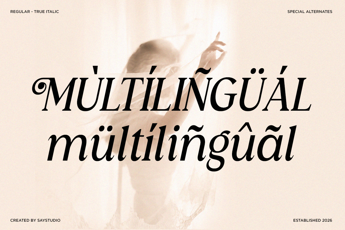 harvellia-luxury-magazine-serif-font-say-studio-8.png