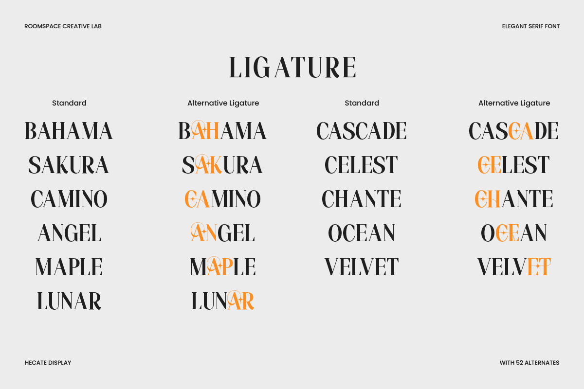 hecate-display-modern-editorial-serif-font-roomspace-creative-lab-14.png