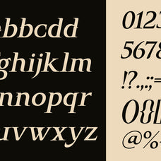 hecta-ahera-serif-font-rvandtype-7.jpg