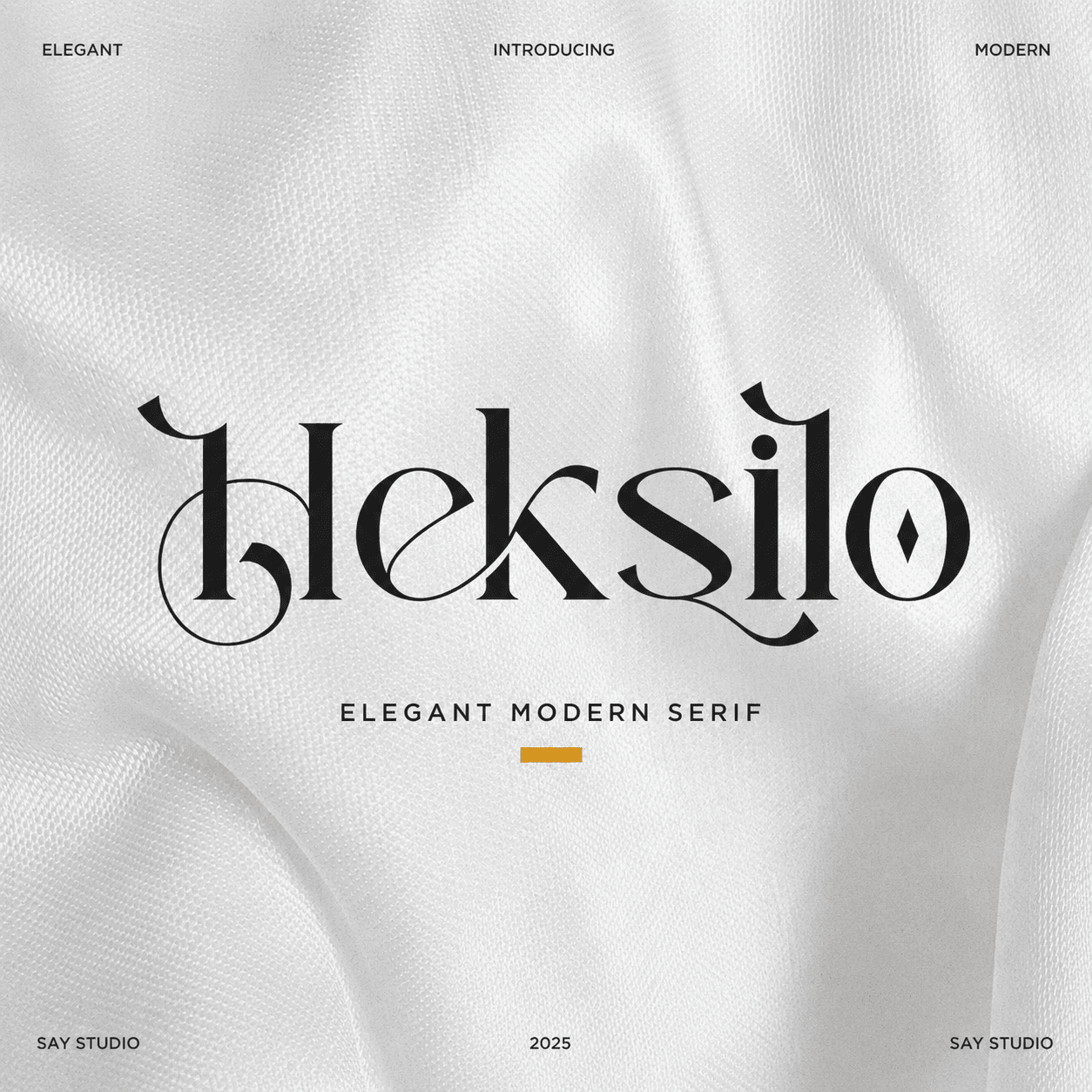 heksilo-stylish-ligature-serif-font-say-studio-1.png