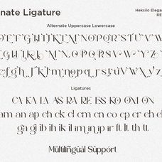 heksilo-stylish-ligature-serif-font-say-studio-10.png