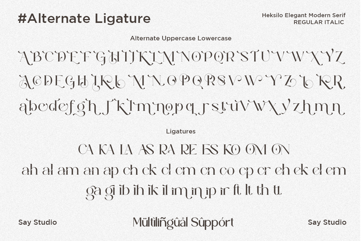 heksilo-stylish-ligature-serif-font-say-studio-10.png