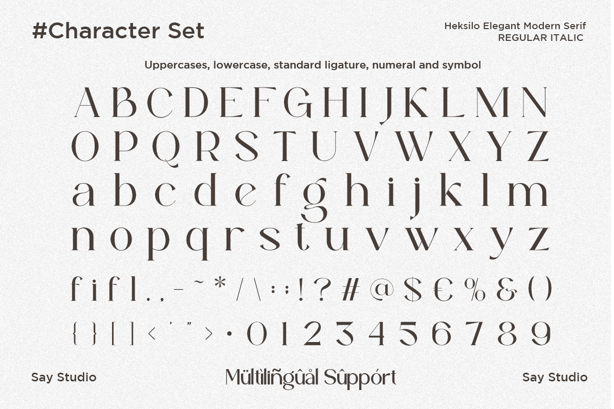 heksilo-stylish-ligature-serif-font-say-studio-9.png