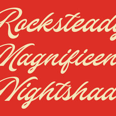 heldies-script-font-retro-script-with-timeless-charm-blankids-7.jpg