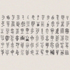 Herbarium Medieval Botany Collection