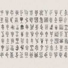 Herbarium Medieval Botany Collection