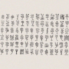Herbarium Medieval Botany Collection