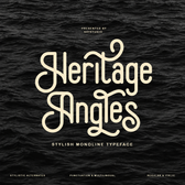 Heritage Angles - Condensed Monoline Sans Serif Font