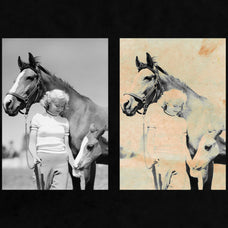 Heritage: Authentic Textures Collection