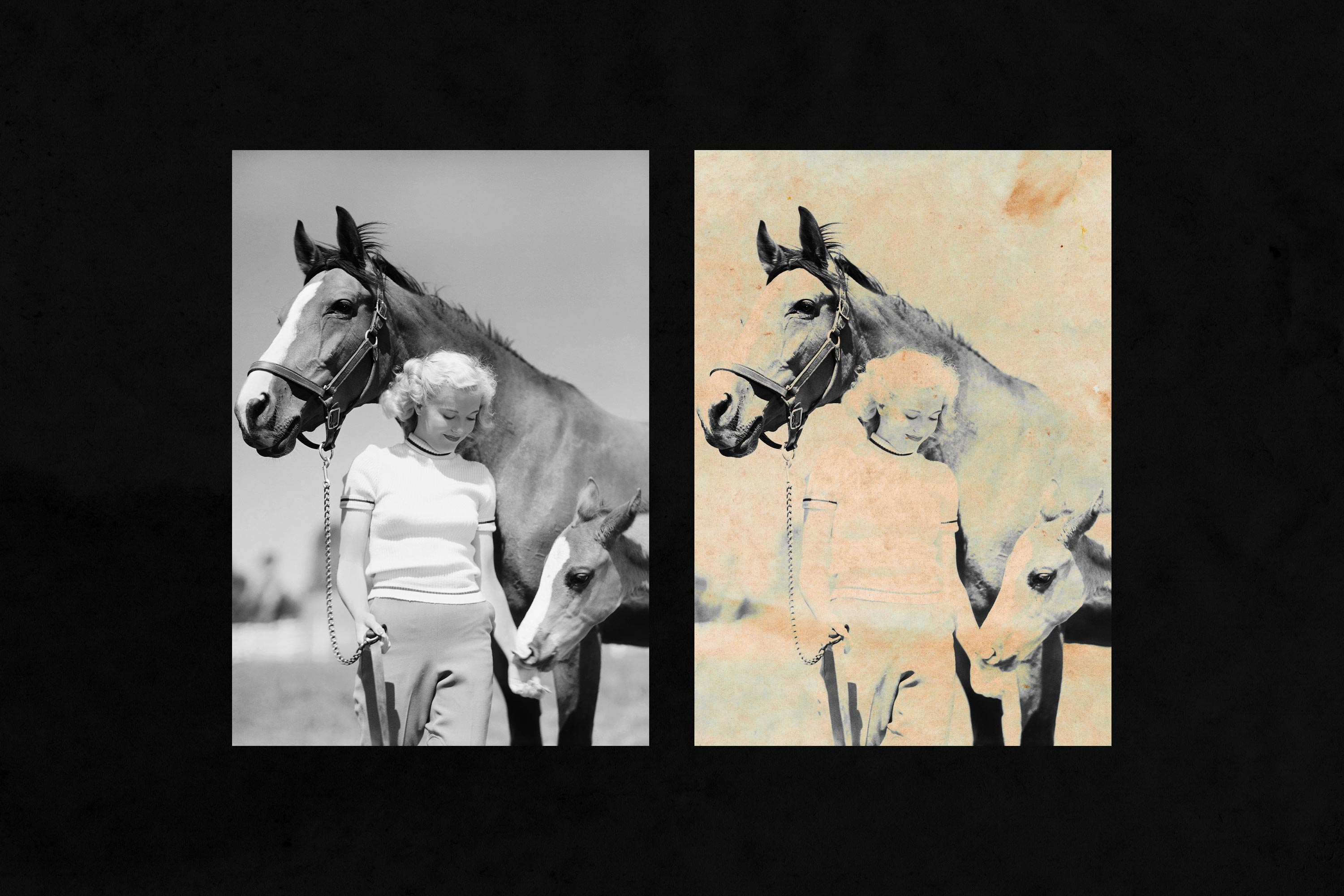 Heritage: Authentic Textures Collection