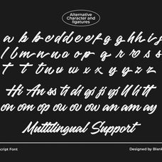 hicheta-a-modern-stylish-script-font-blankids-12.jpg
