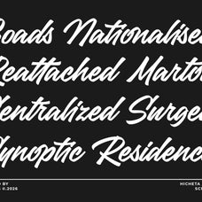 hicheta-a-modern-stylish-script-font-blankids-4.jpg