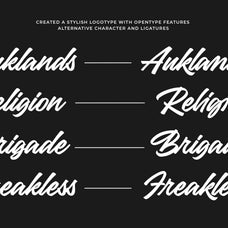hicheta-a-modern-stylish-script-font-blankids-8.jpg