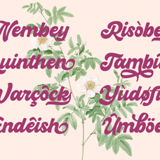 hiderh-mahen-retro-groovy-font-unknown-creator-44.png
