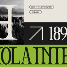hikate-classic-serif-sixtysix-labs-studio-5.jpg