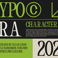 hikate-classic-serif-sixtysix-labs-studio-7.jpg