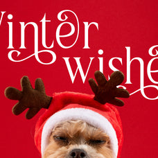 holly-candle-christmas-font-rasio-std-5.jpg