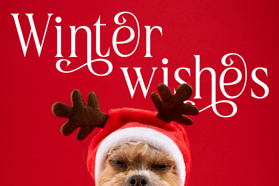 holly-candle-christmas-font-rasio-std-5.jpg