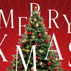 holly-candle-christmas-font-rasio-std-6.jpg