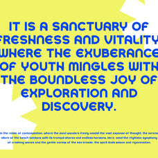 hologenic-sans-serif-display-font-catalystco-studio-6.jpg